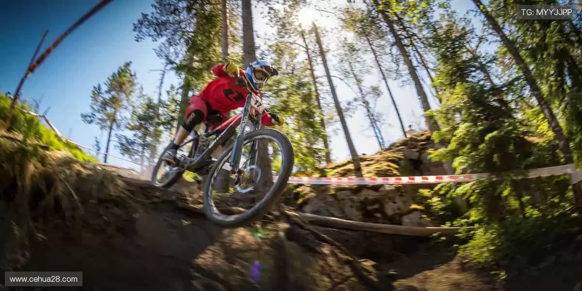 📺一键直击,赛事永不缺席!⚽