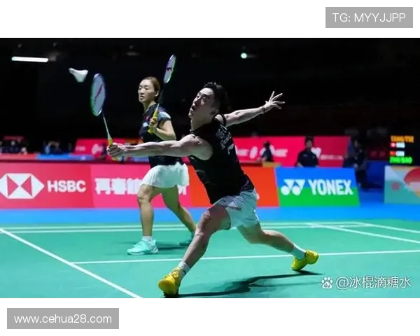 杭州羽毛球队与北京羽毛球队技术对决赛后分析与总结