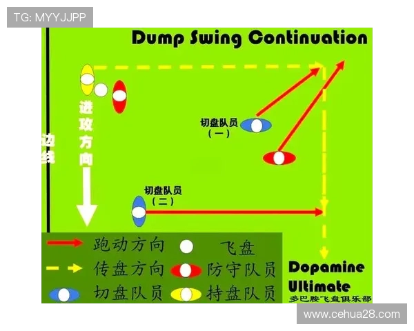深圳飞盘队配合引发热议球迷对战术选择和团队默契展开激烈讨论