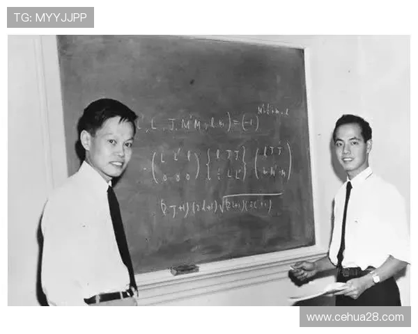 飞盘运动的崛起与吴丽的成功秘诀深度解析